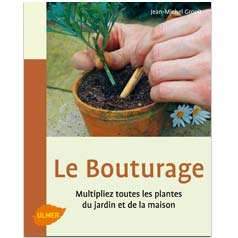 Le bouturage